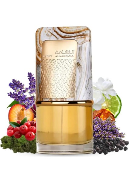 Al Nashama 100ML modelleri