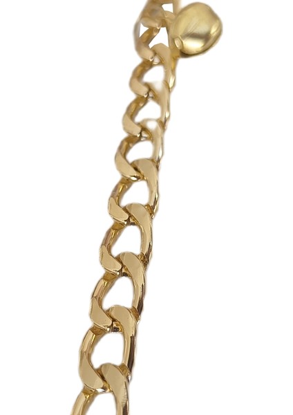 Kampanya Estevia Kedi ve Köpek Lüx Zincir Kolye 25-30 cm Medium Gold Yeni!!!