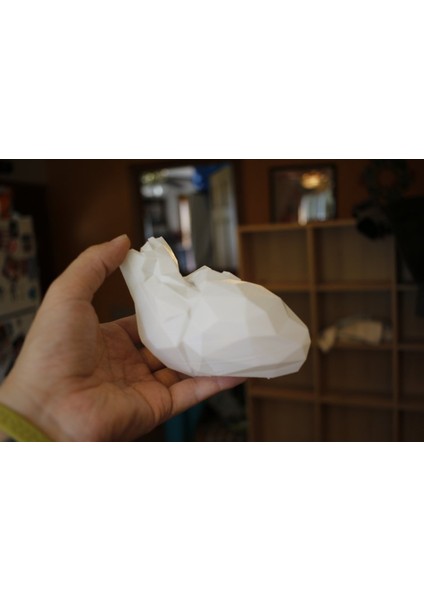Anatomik Kalp Lambası T1734516