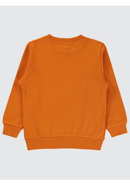 Erkek Çocuk Sweatshirt 2-5 Yaş Koyu Oranj fiyatları