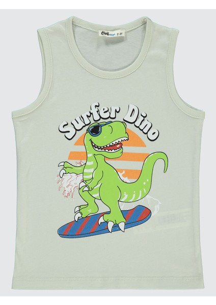 Erkek Çocuk Tişört 2-5 Yaş Açık Gri