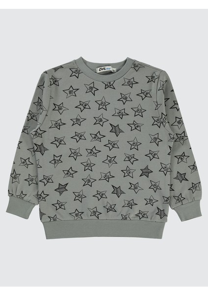 Erkek Çocuk Sweatshirt 2-5 Yaş Gri