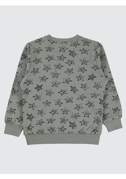 Erkek Çocuk Sweatshirt 2-5 Yaş Gri fiyatları