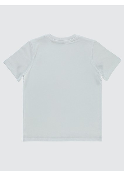 Erkek Çocuk Tişört 6-9 Yaş Beyaz fiyatları