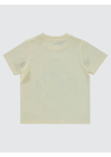 Erkek Çocuk Tişört 2-5 Yaş Fildişi fiyatları