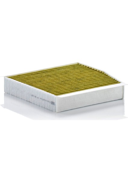 FP26007 Polen Filtresi