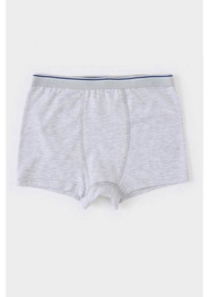 Erkek Çocuk 3'lü Boxer E1579A825SP