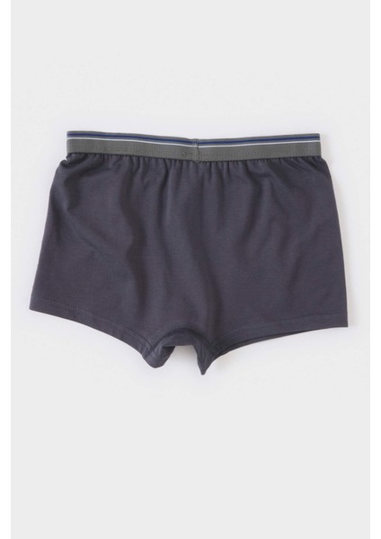 Erkek Çocuk 3'lü Boxer E1579A825SP
