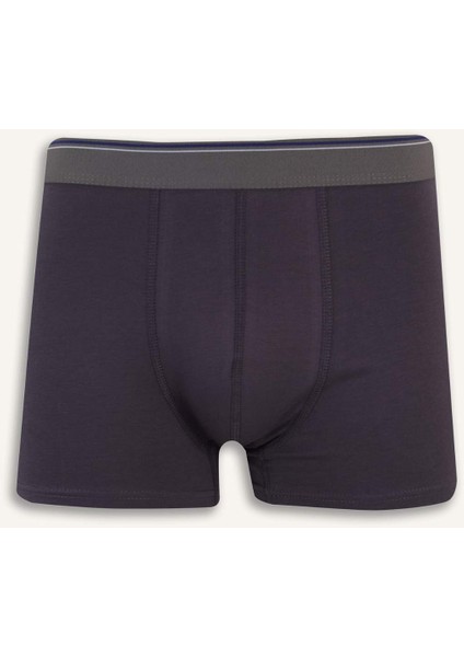 Regular Fit 3'lü Boxer E3234AX25SP