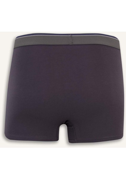 Regular Fit 3'lü Boxer E3234AX25SP