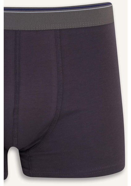 Regular Fit 3'lü Boxer E3234AX25SP