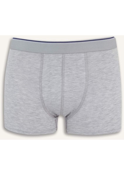 Regular Fit 3'lü Boxer E3234AX25SP
