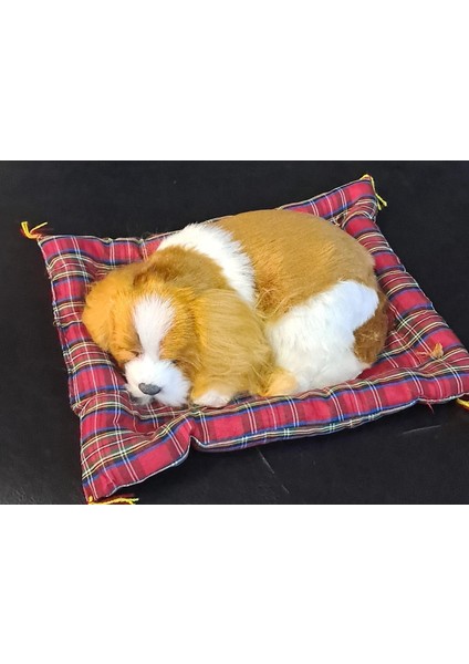 Minderde Uyuyan Peluş Köpek