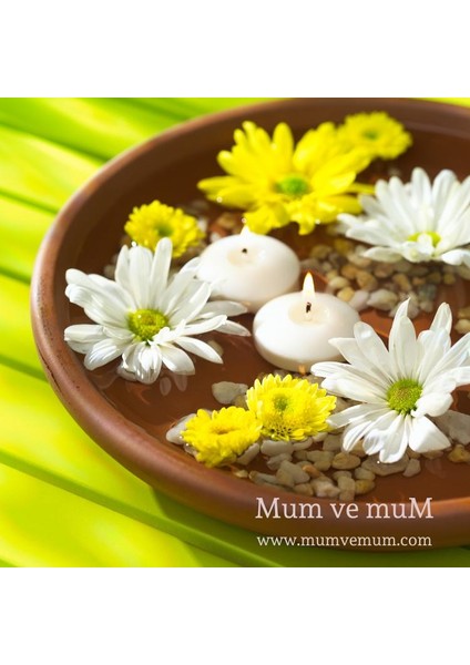 12 Li Çap 5 cm Beyaz Yüzen Mum fırsatları