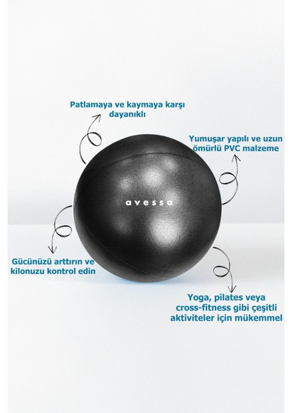 Avessa 25CM Siyah Mini Pilates Topu Plates Aerobik Cardio Jimnastik Için Egzersiz Aleti fiyatları