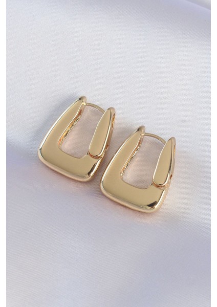 Pirinç Gold Renk Kalın Küpe - TJ-BKP8978 Pop