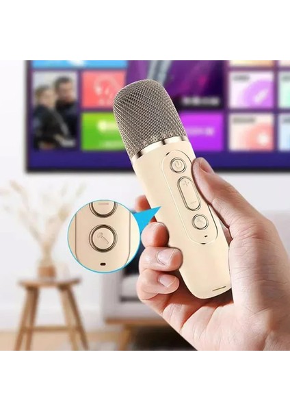 Mini Kablosuz Bluetooth Karaoke Hoparlör Kareoke Makinesi Çocuklar Için Evde Karaoke Seti