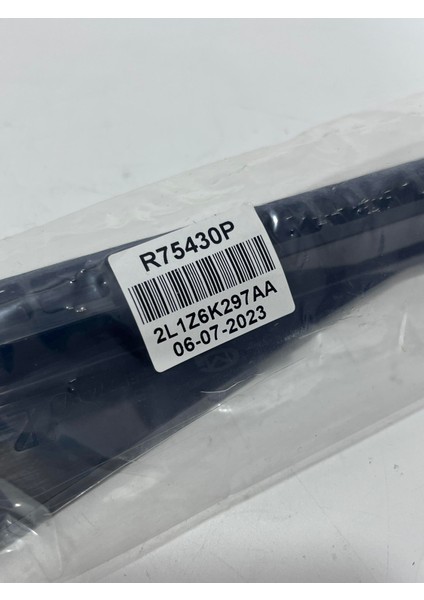 BG413 Ford Motor Zamanlama Zinciri Kılavuzu 2L1Z6K297AA modelleri