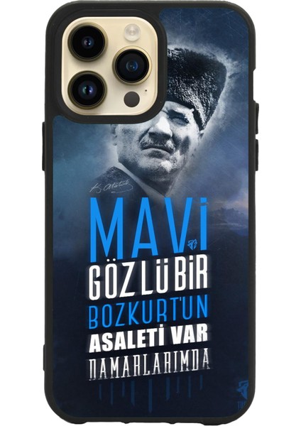 Apple iPhone 12 Pro Max Siyah Silikon Kılıf Çiziklere ve Darbelere Karşı Koruma