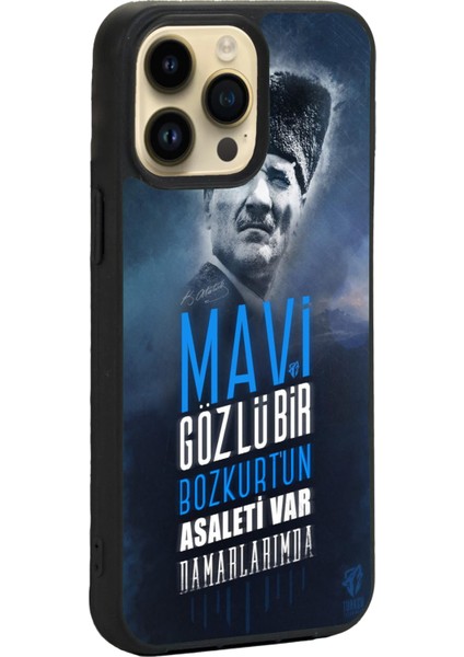 Apple iPhone 12 Pro Max Siyah Silikon Kılıf Çiziklere ve Darbelere Karşı Koruma fiyatları