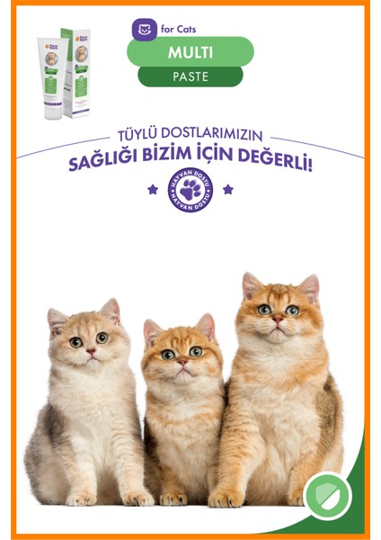 Multi Paste 100 gr – Tüm Kediler İçin Vitamin Malt Macun