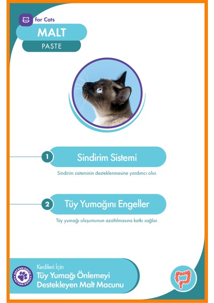Kedi Malt Paste 100 gr – Tüy Yumağı Önleyici Macun