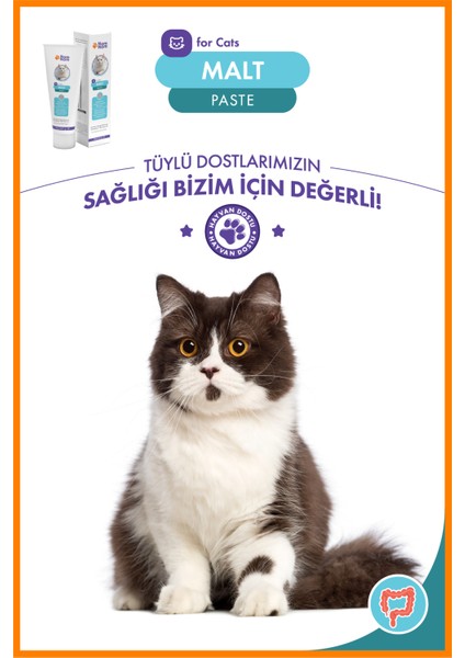 Kedi Malt Paste 100 gr – Tüy Yumağı Önleyici Macun
