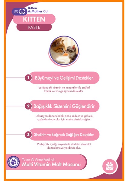 Kitten Paste 100 gr – Yavru ve Anne Kediler İçin Multivitamin ve Malt Macunu