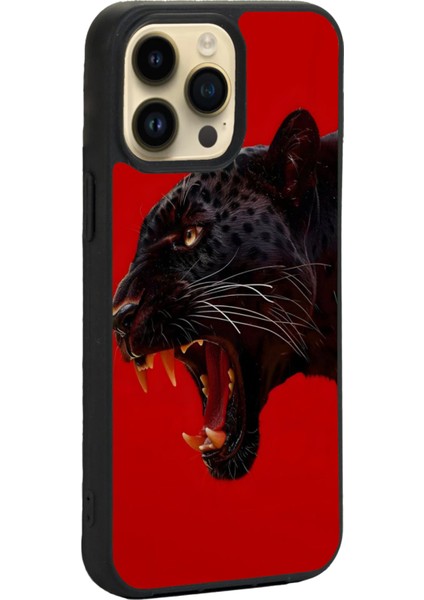 Apple iPhone 15 Pro Max Baskılı ve Glass Korumalı Siyah Renk Silikon Kılıf