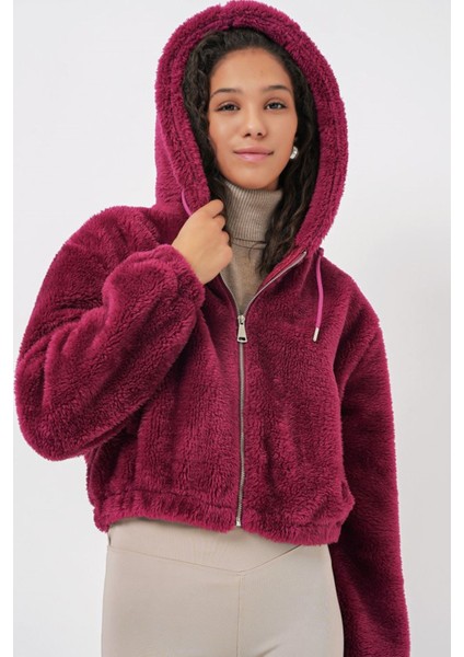 5193 Kapüşonlu Peluş Crop Ceket - Mürdüm