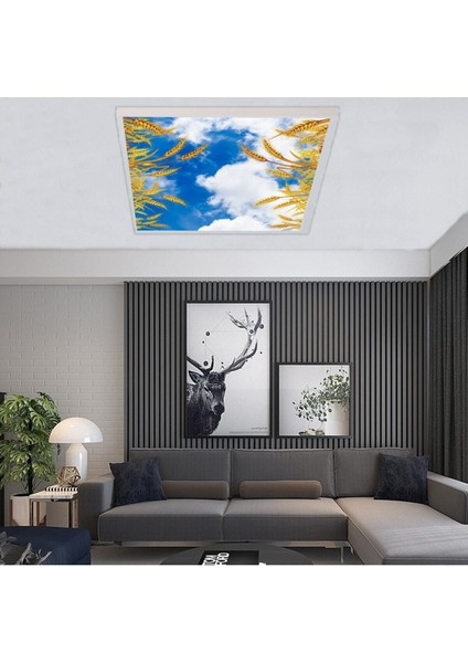 Salon Avize Modeli - 60WATT Aydınlatma -60 cm x 60 cm -Led Işık Avize- Baskılı Tasarım-Tavana Yapışık
