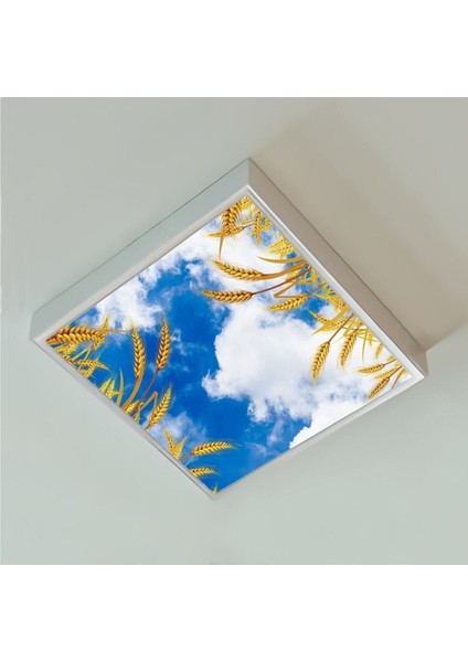 Salon Avize Modeli - 60WATT Aydınlatma -60 cm x 60 cm -Led Işık Avize- Baskılı Tasarım-Tavana Yapışık fiyatları