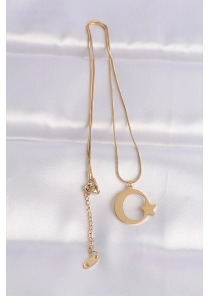 316L Çelik Zincir Gold Renk Ay Yıldız Unisex Kolye - TJ-BKO8699 fiyatları