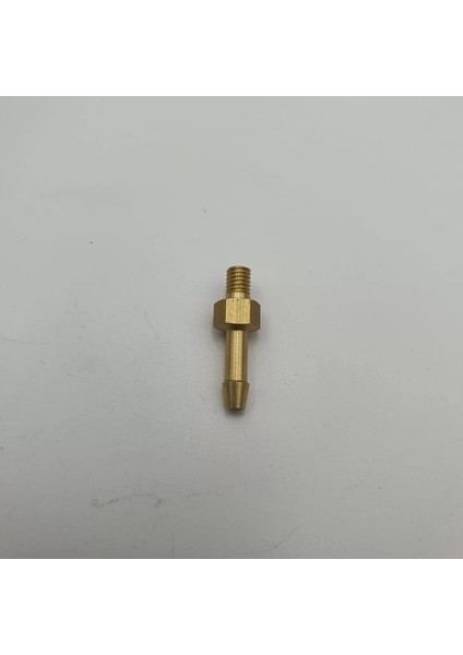 Mini Hortum Uçlu Rekor 8/10 mm - M6