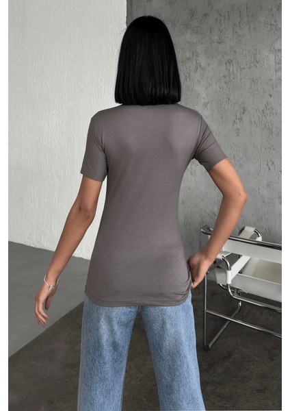 Rahat ve Şık Kısa Kollu Bisiklet Yaka Likralı Viskon Penye Body Füme ( Lisinya ) fırsatları