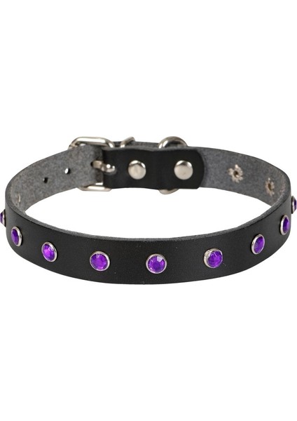Taşlı Kedi ve Yavru Köpek Tasması 1*23 cm Mavi Medium