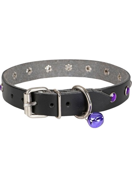 Taşlı Kedi ve Yavru Köpek Tasması 1*23 cm Mavi Medium