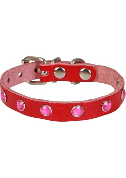 Taşlı Kedi ve Yavru Köpek Tasması 1,0X19 cm Kırmızı Small
