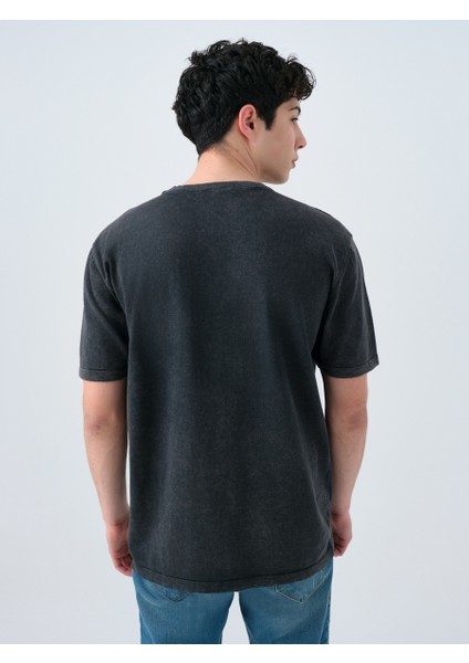 Regular Fit Erkek Tshirt K.kol