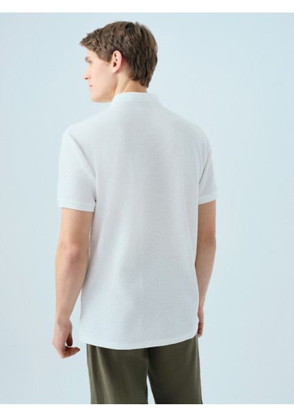 Regular Fit Erkek Polo K.kol modelleri