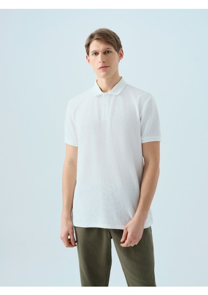Regular Fit Erkek Polo K.kol