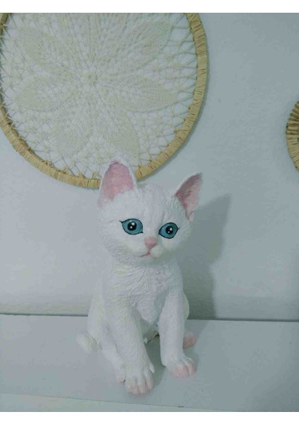 Kedi Biblo