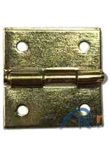 Tavla Menteşesi No:2 - 15X15MM, Sarı, 1 Adet