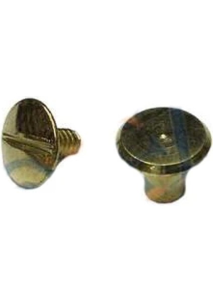 Cilt Menü, Katalog, Kartela Vidası, 6 mm - Sarı, 100 Adet