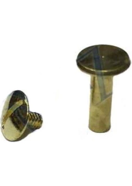 Cilt Menü, Katalog, Kartela Vidası, 13MM - Sarı, 1 Adet