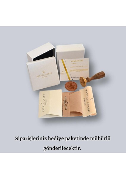 Zümrüt Taşlı Işıltılı Diamond Fiyonk Kelebek Kadın Gümüş Kolye