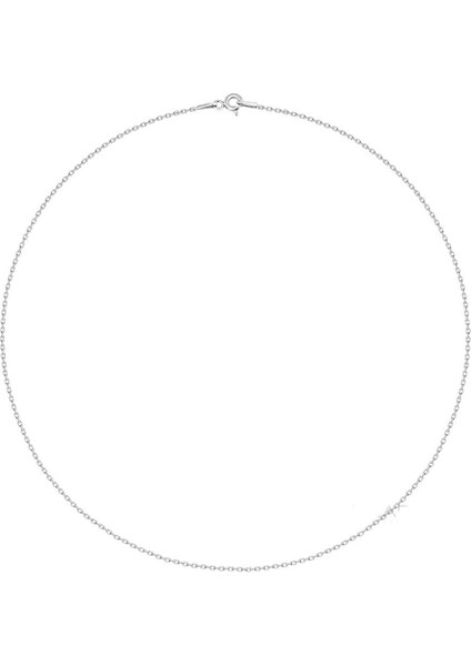 925 Ayar Gümüş İnce Bayan Kolye Zinciri fiyatları