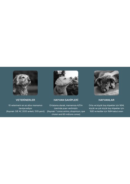 Joint & Mobility Köpek Maması 12 kg fiyatları