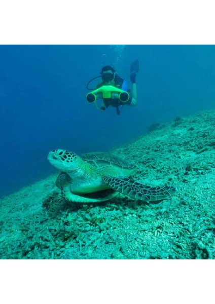 Manta Mavi Su Altı Scooter modelleri