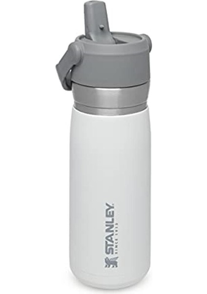 Luxury Go Iceflow Pipetli Paslanmaz Çelik Soğuk Su Termosu 0.65 Lt 1 Adet